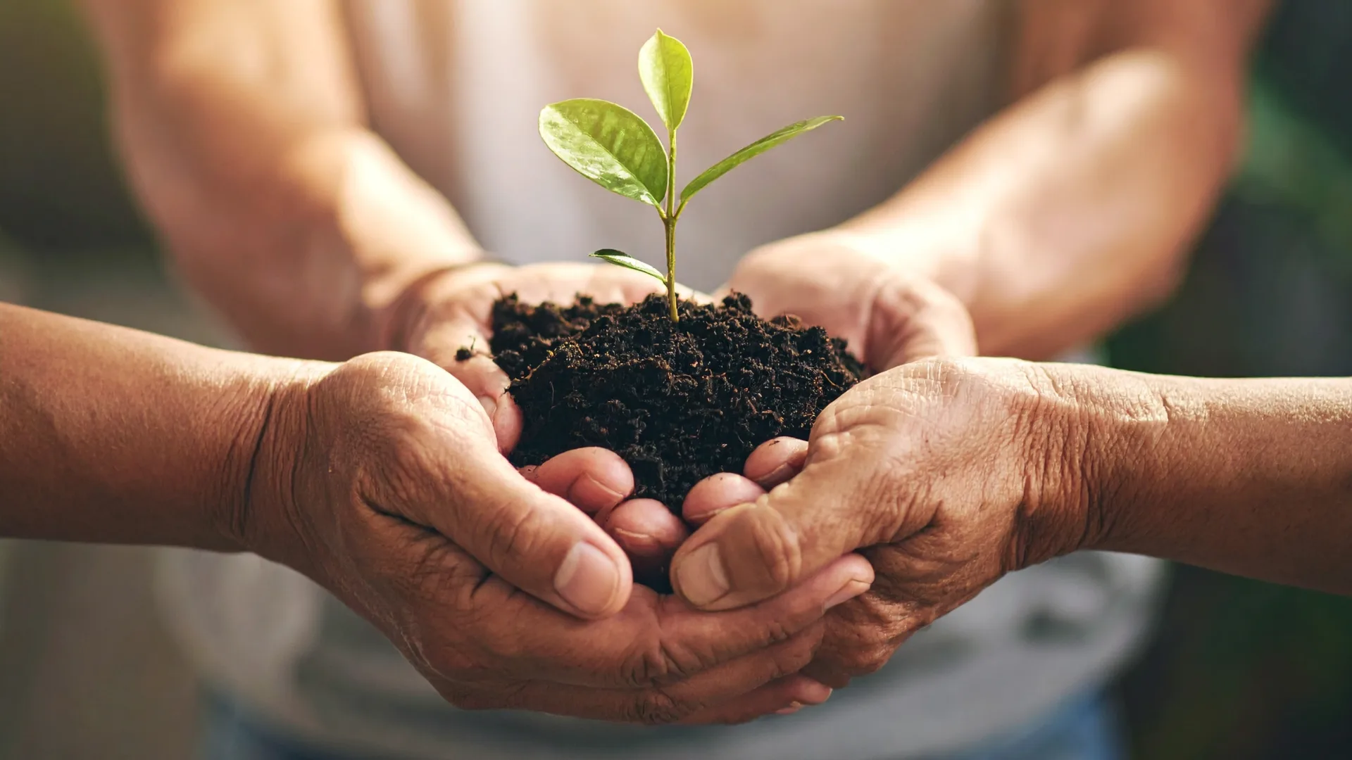 The Giving Habit: Behavioural Science Explains Why Most People Who Want to Give Never Do